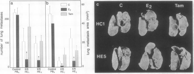 graphic file with name pnas01097-0443-a.jpg