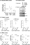 FIG 2