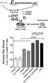 FIG 3