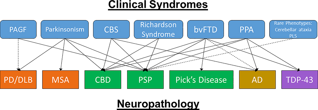 Figure 1: