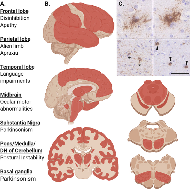 Figure 2: