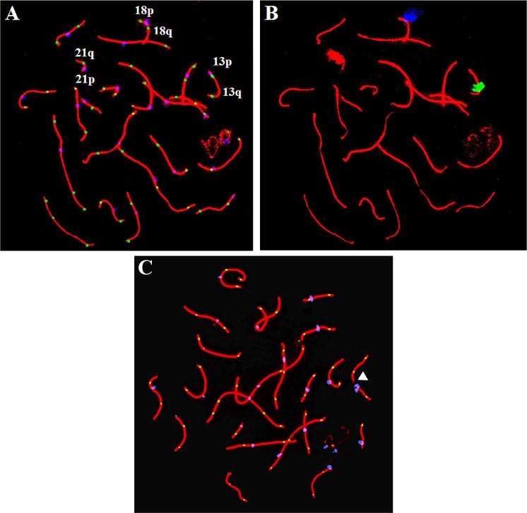 Fig 1