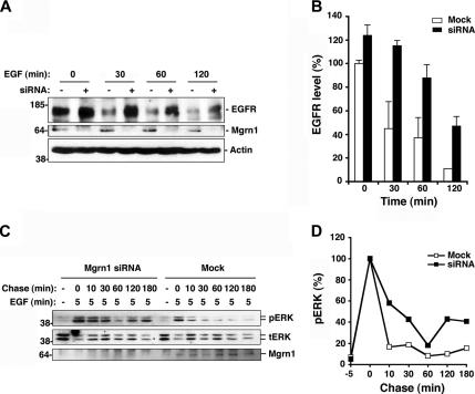 Figure 10.