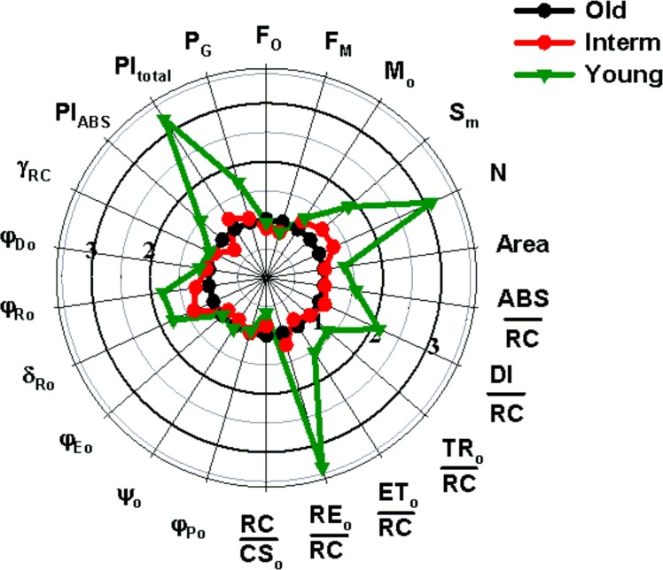 Fig 3