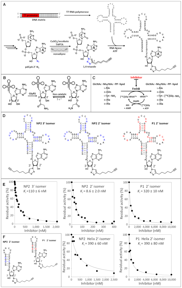 Figure 6.