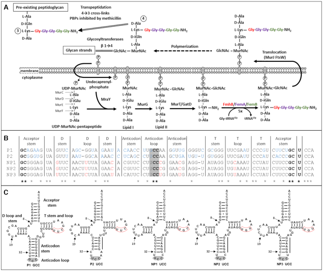 Figure 1.