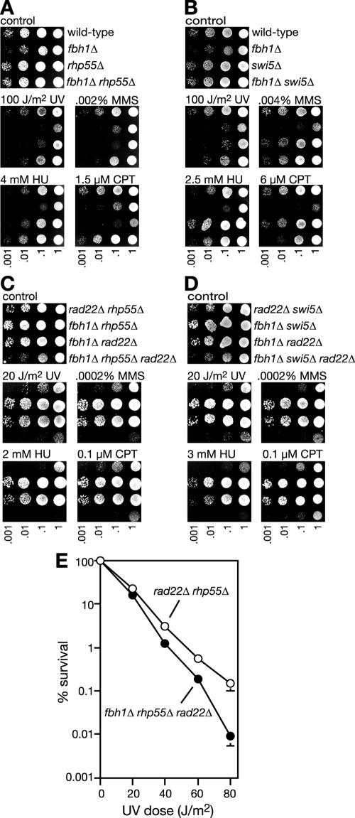 FIG. 6.