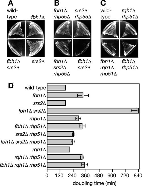 FIG. 3.