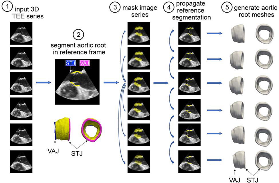 Figure 1: