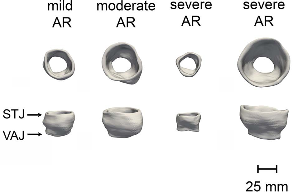 Figure 3: