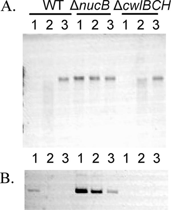 FIG. 6.