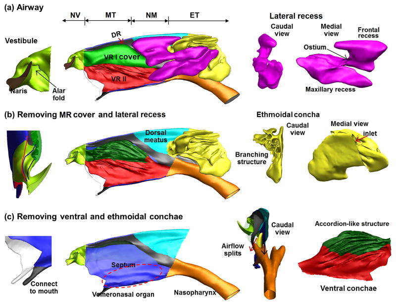 Fig. 3
