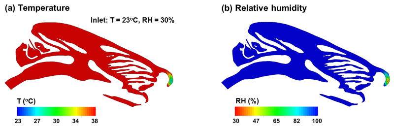 Fig. 11