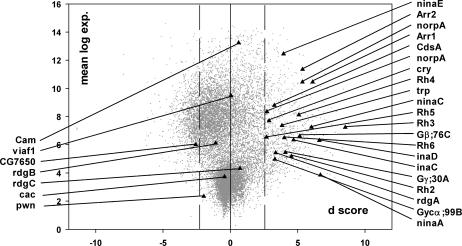 Fig 2.