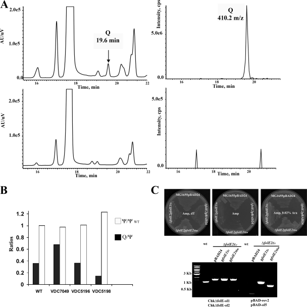 FIG. 4.