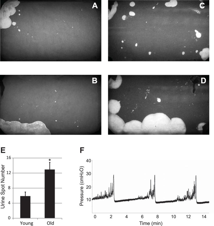 Fig. 6.