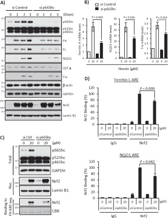 FIGURE 6: