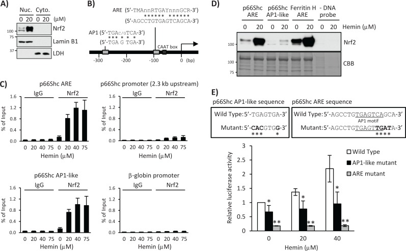 FIGURE 2: