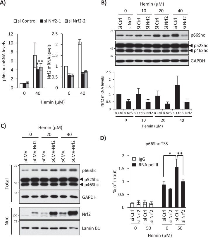 FIGURE 3: