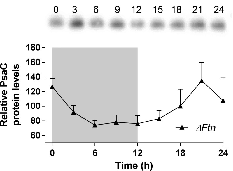 Fig. S4.