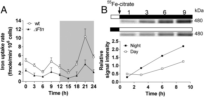 Fig. 3.