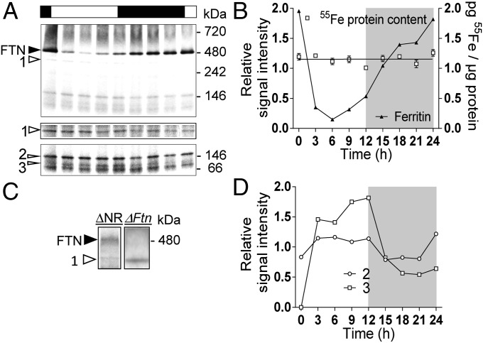 Fig. 4.