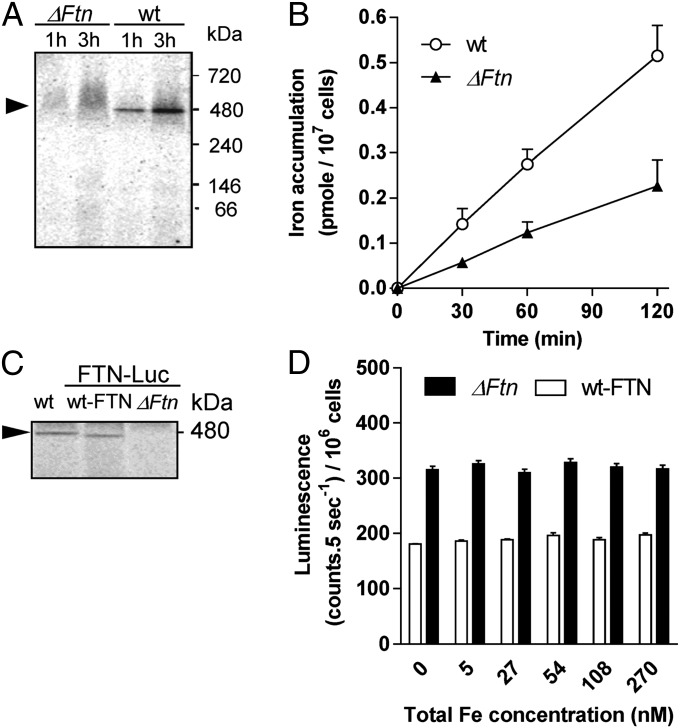 Fig. 2.