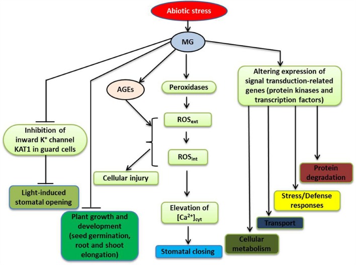 FIGURE 2