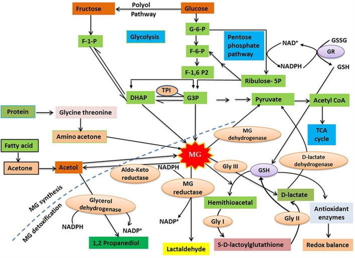 FIGURE 1