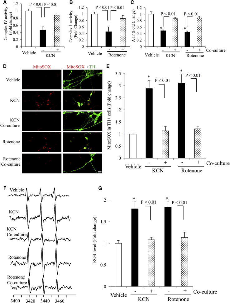 Figure 3