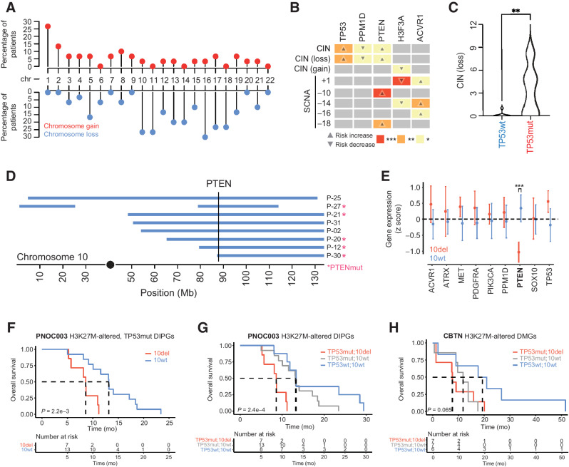 Figure 4. Somatic driver gene alterations are associated with distinct patterns of chromosome instability in H3K27-altered DIPG. A, Lollipop plot showing the frequency of somatic chromosomal gain and loss events in H3K27-altered DIPGs (n = 30). Percentages on the left show the proportion of primary tumors with chromosomal gains or losses (middle row). Red dots represent full/partial chromosome gains; blue dots represent full/partial chromosome losses. B, Association between somatic driver gene alterations (top side), CIN (left side), and SCNAs (left side) in H3K27-altered DIPGs. Box color and associated number of asterisks indicate the degree of statistical significance (colored boxes). Direction of the arrow indicates an increased risk of association (up-arrow) or decreased risk of association (down-arrow). C, Plot shows the total number of chromosomal losses in TP53mut (n = 20) and TP53wt (n = 8) H3K27-altered DIPGs. D, Somatic PTEN alterations are associated with SCNAs on 10q. Plot shows the genomic position of somatic deletions (blue bars) on chromosome 10 and somatic PTEN alterations (pink asterisk). The vertical line marks the genomic location of the PTEN gene. E, Association between driver gene expression and 10q deletion status in H3K27M-altered DIPG. PTEN expression is significantly reduced in DIPGs that harbor a 10q deletion (Mann–Whitney U test). F, Kaplan–Meier survival curves show poor clinical outcomes in H3K27-altered, TP53-mutant DIPG patients in PNOC003. G and H, Kaplan–Meier survival curves for PNOC003 (C) and CBTN (D) H3K27-altered DIPG/DMG patients after stratification into three genetically defined risk groups: TP53mut/10del (red, highest risk), TP53mut/10wt (gray, intermediate risk), and TP53wt/10wt (blue, lowest risk). SCNA, somatic copy-number alterations; CIN, chromosomal instability; wt, wild-type; mut, mutant; del, deletion; CBTN, Children's Brain Tumor Network; ***, P < 0.001; **, P < 0.01; *, P < 0.05.