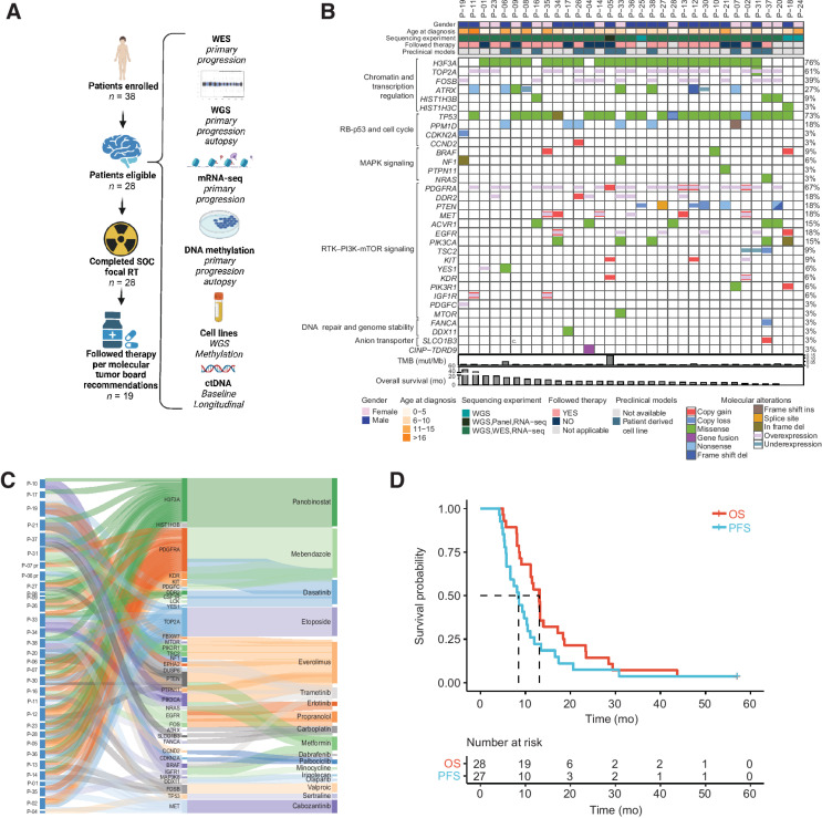 Figure 1. Overview of the PNOC003 clinical trial, molecular alterations identified, assigned therapy recommendations based on molecular data, and clinical outcomes. A, Left shows the clinical trial outline with the total number of patients in each treatment phase of the trial (includes 38 enrolled patients and 10 patients removed from outcome analyses due to the family changing decision about undergoing biopsy; n = 1), failure to collect sufficient tissue for CLIA molecular analysis (n = 3), ineligible pathology diagnosis, withdrawal of participation after the biopsy but before study required treatment (n = 1), and death before completion of CLIA molecular profiling or radiotherapy (n = 2). Right provides an overview of the completed multi-omic profiling of tumor tissue, germline, CSF, and cell lines. B, Oncoprint representation of alterations identified for all patients that successfully underwent WGS, WES, or RNA-seq in primary DIPG tumors (n = 33; WES and mRNA-seq, CLIA; WGS, non-CLIA). Patients P-18, P-24, and P-25 were removed from trial due to insufficient tissue availability for WES and mRNA-seq; however, these patients completed WGS (not used for treatment decision-making). “Tier 1” targetable alteration listed. “Not applicable” for “Followed Therapy” row indicates patients that came off therapy before initiation of therapy recommendations due to family preference (n = 1), the family changed mind about continuing therapy recommendations (n = 1), patient death before rendering therapy recommendations (n = 1), or did not have sufficient tissue to perform CLIA molecular analyses required to render therapy recommendations (n = 2). Patients are represented in columns, and genes are labeled in rows. Percentages on the right column represent the proportion of patients in the cohort with molecular alterations. Tumor mutation burden (TMB) and overall survival (OS) are represented below the oncoprint. C, Sankey diagram illustrates the individualized, targeted therapy recommendations for each PNOC003 patient who underwent molecular tumor board (n = 30) and based on gene alterations identified via molecular profiling. The first node shows the patient identifier connected to the therapeutically informative genes in the second node. The third node depicts targeted therapy agents recommended by the molecular tumor board. Abbreviations used for drugs are shown in parentheses, “pr” indicates targeted recommendations from repeat biopsy at progression (n = 2). Two patients underwent molecular tumor board but were removed from therapy due to patient/family preference (n = 1; P-28) or patient death during RT (n = 1; P-20). D, Kaplan–Meier OS and PFS of all patients followed for survival outcomes (n = 28 for OS, n = 27 for PFS; based on missing PFS for P-31). Median OS of 13.1 months and median PFS of 8.5 months. WES, whole-exome sequencing; WGS, whole-genome sequencing; mRNA-seq, mRNA sequencing; ctDNA, circulating tumor DNA; TMB, tumor mutation burden; OS, overall survival; PFS, progression-free survival.