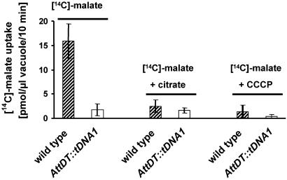 Fig. 5.