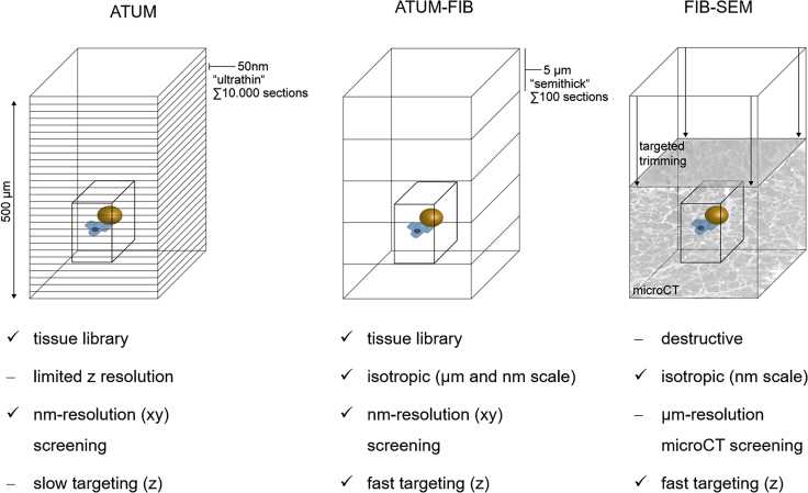 Figure 6