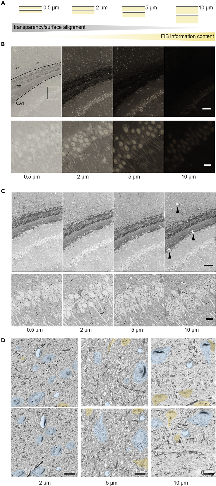 Figure 2