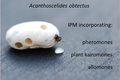 graphic file with name AAB-184-19-g004.jpg