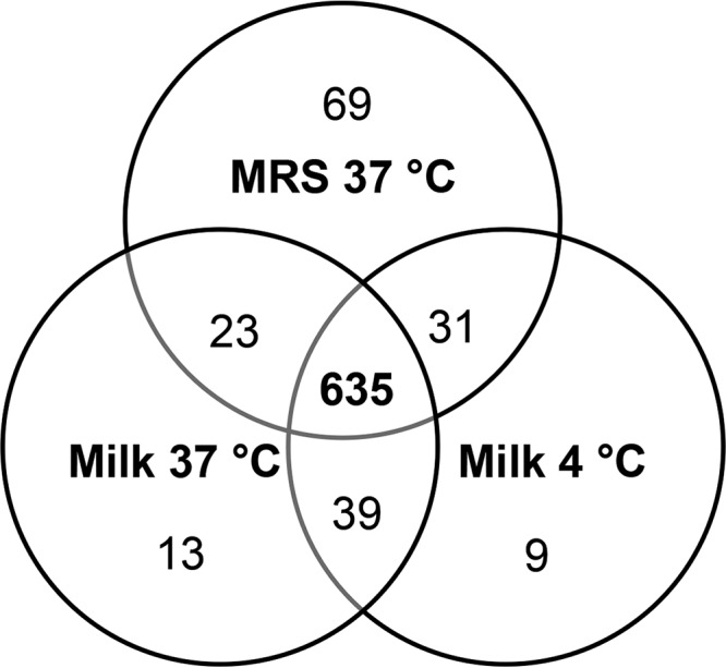 FIG 2 