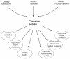Figure 4)