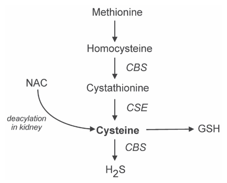 Figure 2)