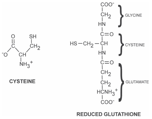Figure 3)