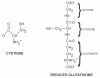 Figure 3)