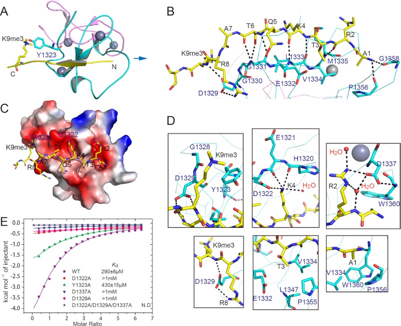 FIGURE 3.