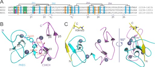 FIGURE 2.