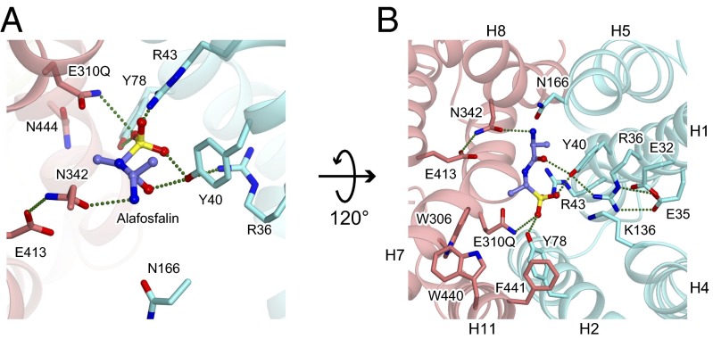Fig. 3.
