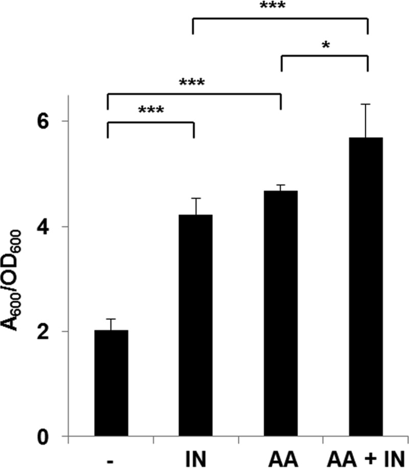 FIG 2