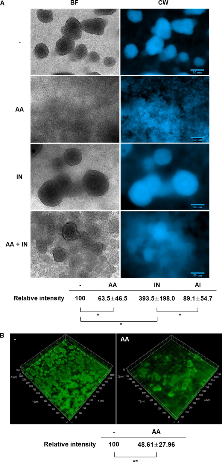 FIG 4