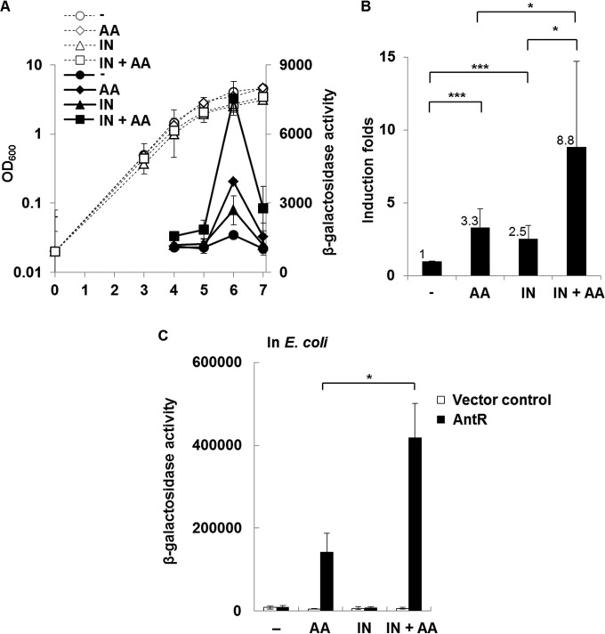 FIG 6