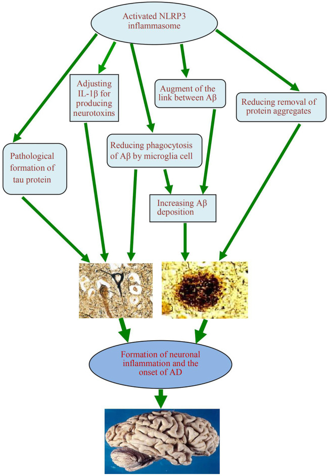 Figure 3