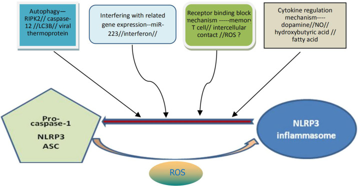 Figure 2