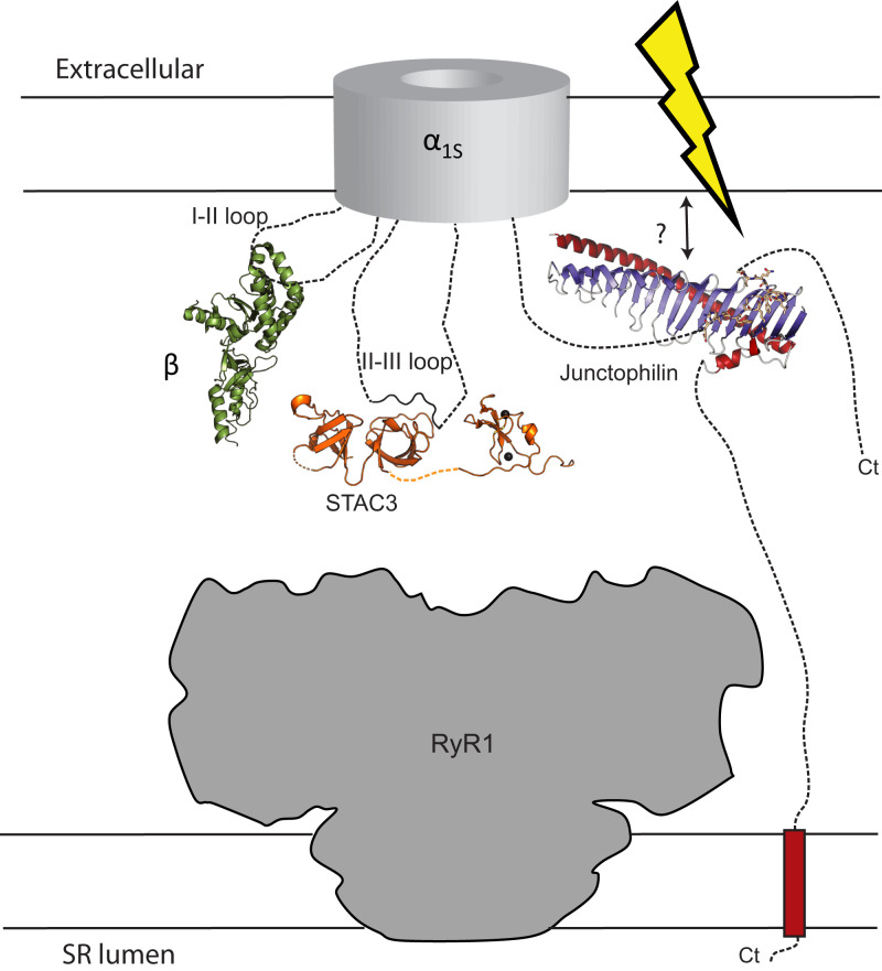 Fig. 5.